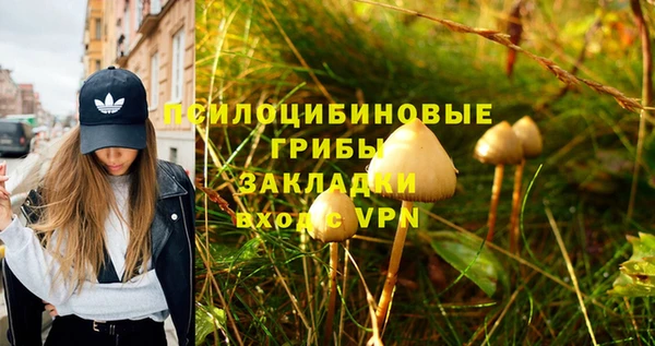 a pvp Нестеровская