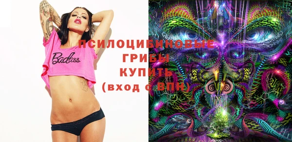 mdpv Магадан