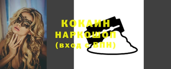стаф Ладушкин