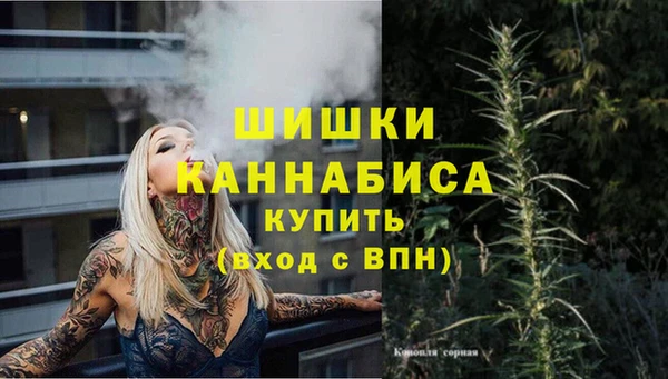 индика Горняк