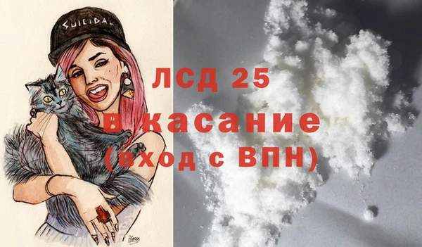 PSILOCYBIN Лиски
