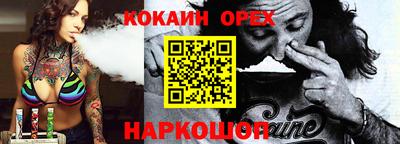 apvp Гатчина