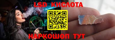 apvp Гатчина