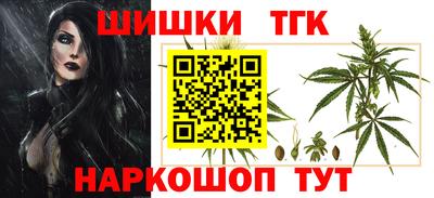 apvp Гатчина