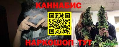 apvp Гатчина
