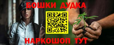 apvp Гатчина