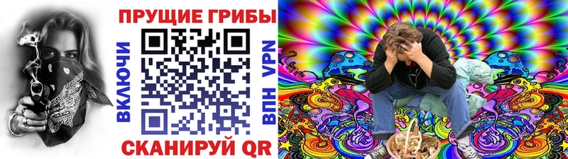 Галлюциногенные грибы прущие грибы Нововоронеж