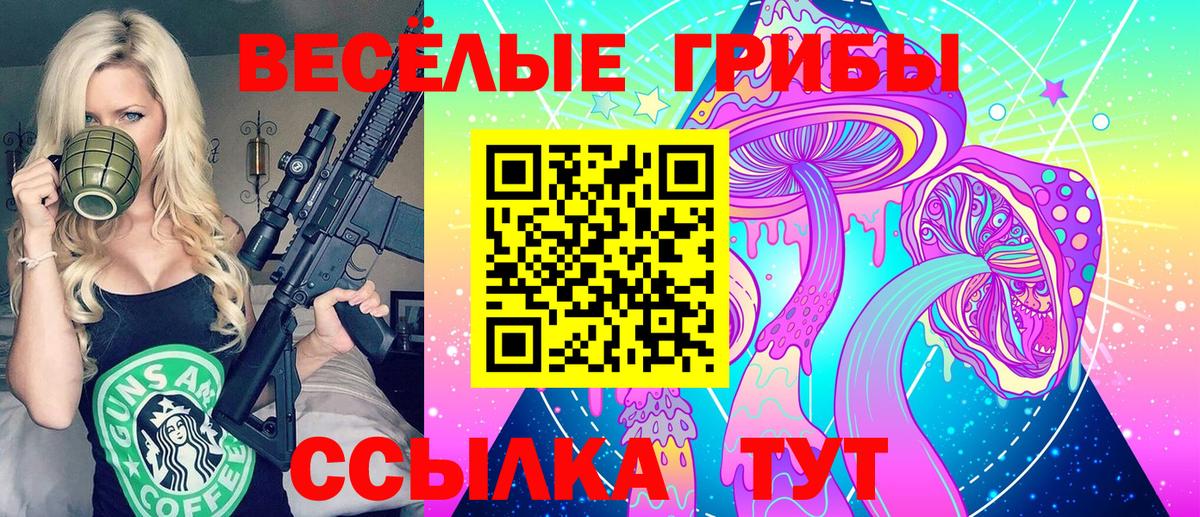 Нововоронеж  Галлюциногенные грибы MAGIC MUSHROOMS  Вход с VPN 