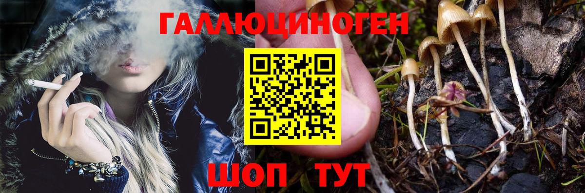 Псилоцибиновые грибы GOLDEN TEACHER Нововоронеж